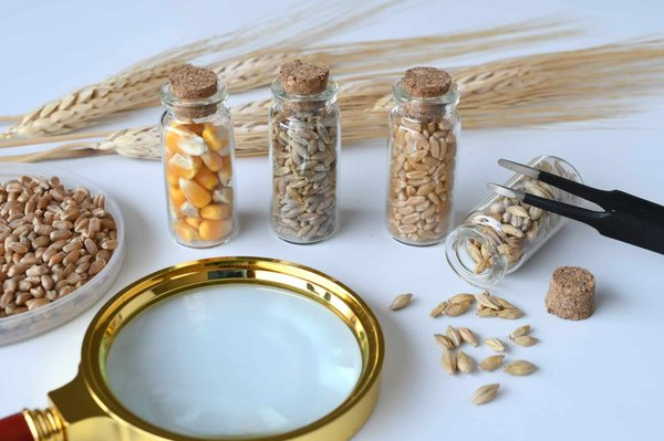 Les différents types de garanties pour un crédit à la consommation